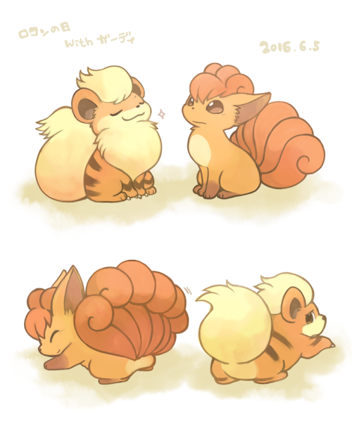 ambiguous_gender duo eyes_closed fur japanese simple_background text white_background kanannbo nintendo pokemon pokemon-specific_day vulpix_day canid canine generation_1_pokemon growlithe mammal pokemon_(species) vulpix 2016 japanese_text translated