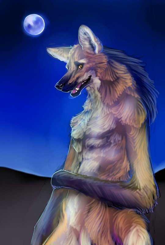 anthro biped black_body black_fur black_hair black_nose brown_body brown_fur fangs full_moon fur grin hair looking_at_viewer male moon night nude open_mouth outside pose smile solo standing tan_body tan_fur teeth tongue yellow_eyes gweek canid canine mammal maned_wolf