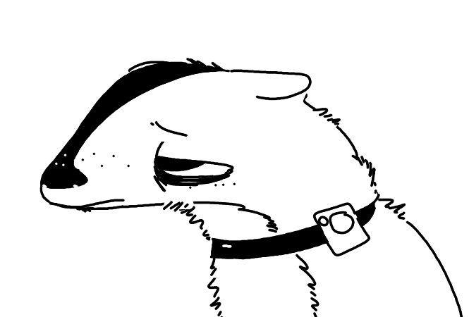 anthro collar fur half-closed_eyes male narrowed_eyes sad shock_collar simple_background solo white_background the_weaver disney pack_street zootopia fan_character t_rex_(weaver) badger mammal mustelid musteline black_and_white digital_drawing_(artwork) digital_media_(artwork) monochrome