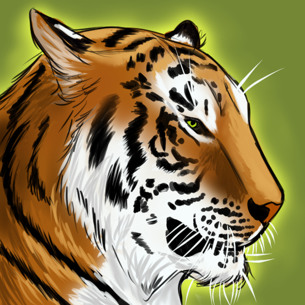 ambiguous_gender black_markings blue_background blue_eyes ears_back feral fur markings mouth_closed orange_body orange_fur pivoted_ears simple_background solo striped_neck whiskers white_body white_fur tiggybloom felid mammal pantherine tiger 1:1