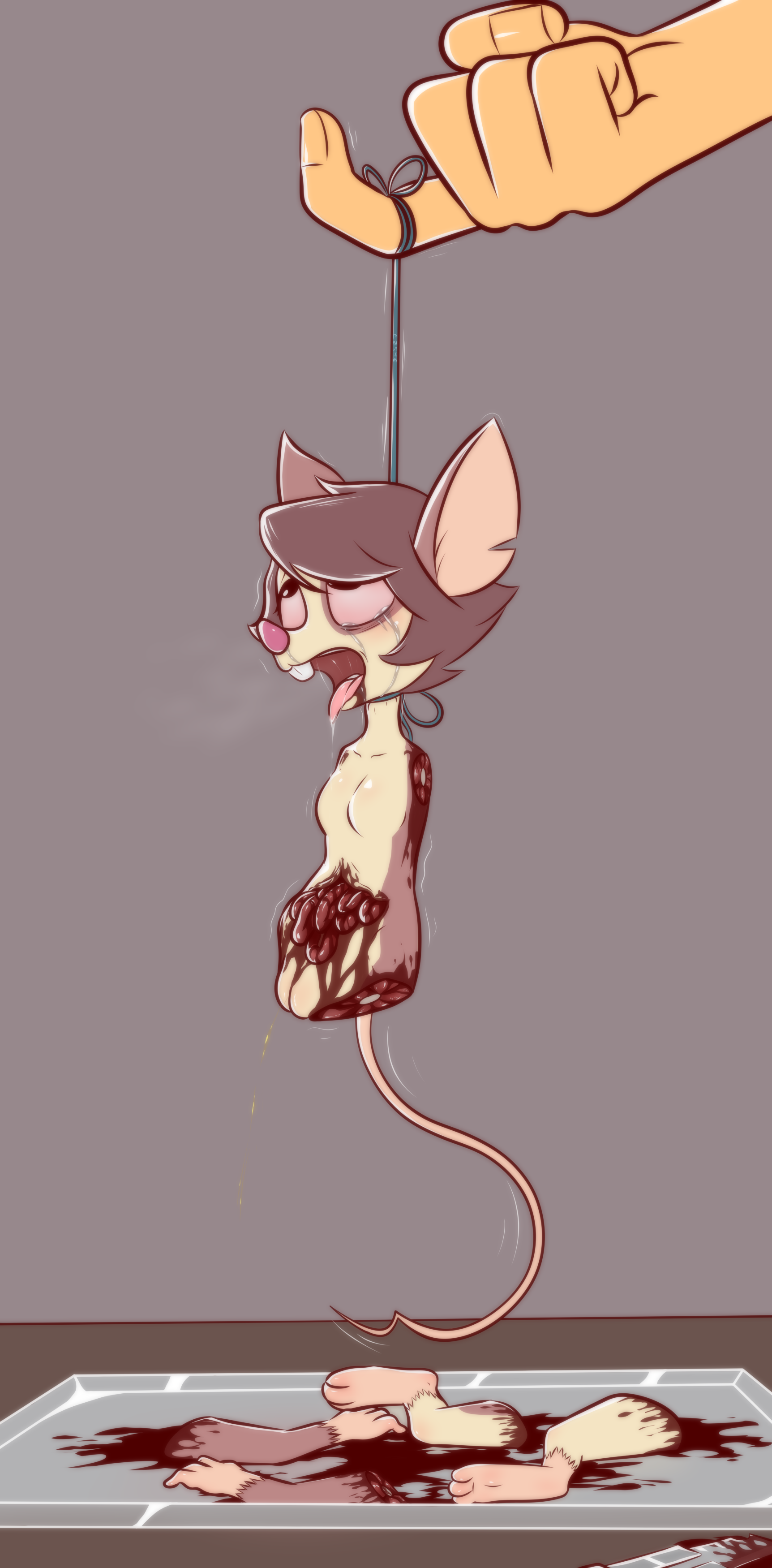 Pinky the mouse rule 34