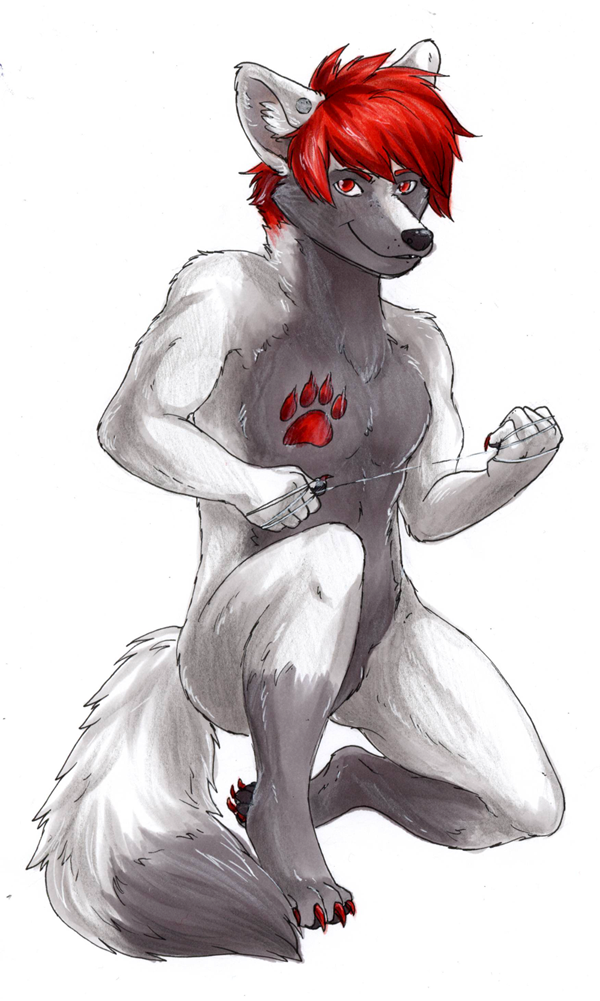 anthro black_nose chest_markings claws daybreeze featureless_chest featureless_crotch fiberwire footprint fur grey_body grey_eyes grey_fur grey_inner_ear_fluff grey_tail hair holding_object holding_weapon inner_ear_fluff kneeling male markings pawprint pawprint_(marking) red_claws red_eyes red_hair red_markings short_hair simple_background smile solo tail tuft weapon white_background conditional_dnp garnetto nightwind traditional_media_(artwork)