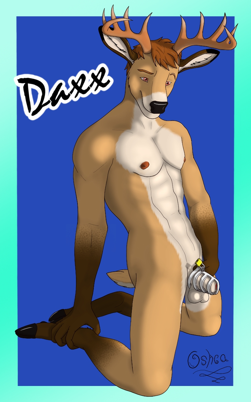 anthro antlers balls biped brown_hair chastity_cage chastity_device genitals hair horn kneeling lock male navel nipples padlock penis solo oshca daxx_(dkmt12) cervine deer mammal 5:8 hi_res