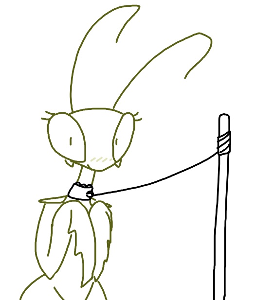 antennae_(anatomy) anthro blush bound collar eyelashes female leash looking_at_viewer simple_background solo submissive submissive_female white_background wide_hips the_weaver monstro_village elinda arthropod insect mantis monochrome