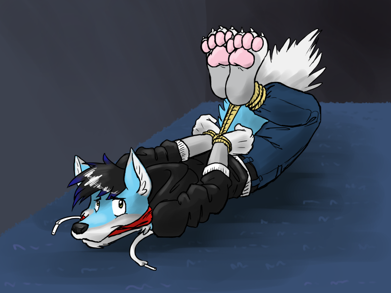 4_toes anthro arms_tied bdsm blue_body blue_fur bondage bottomwear bound cloth_gag clothing feet fur gag gagged hands_behind_back hogtied jacket kidnapping legs_tied lying male on_front pants pawpads paws pink_pawpads restraints rope rope_bondage simple_background solo toes topwear white_body white_fur vir-no-vigoratus canid canine canis mammal wolf