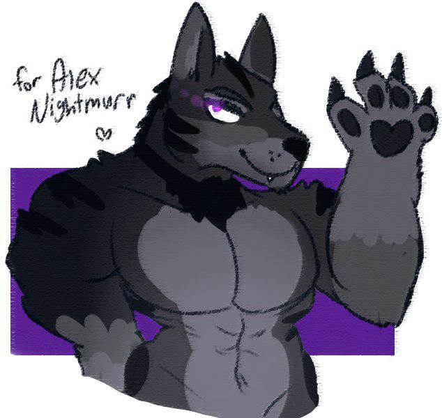 anthro black_body black_ears black_fur black_nose black_tuft claws fur grey_body grey_fur hand_on_hip heart_symbol male multicolored_body multicolored_fur muscular navel neck_tuft pecs purple_background purple_eyes simple_background solo teeth text tuft white_background clawzetto alex_nightmurr canid canine canis mammal wolf 2018 digital_media_(artwork)