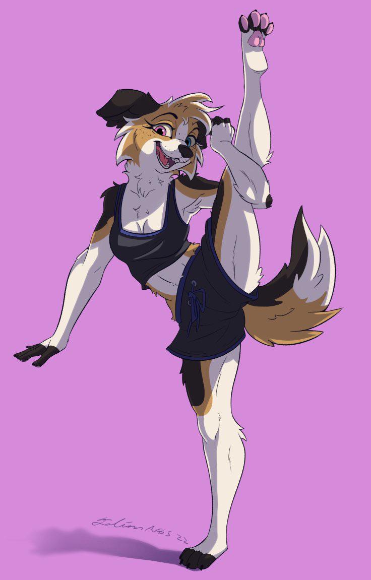 anthro clothing female flexible heterochromia one_leg_up raised_leg solo splits spread_legs spreading standing vertical_splits galinn-arts canid canine canis domestic_dog mammal