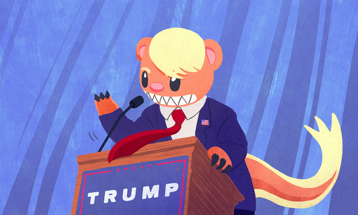 anthro brown_body brown_fur claws clothed clothing fur lectern male necktie parody sharp_teeth solo suit teeth angelica_alzona nintendo pokemon donald_trump generation_7_pokemon herpestid mammal pokemon_(species) yungoos 2016 5:3