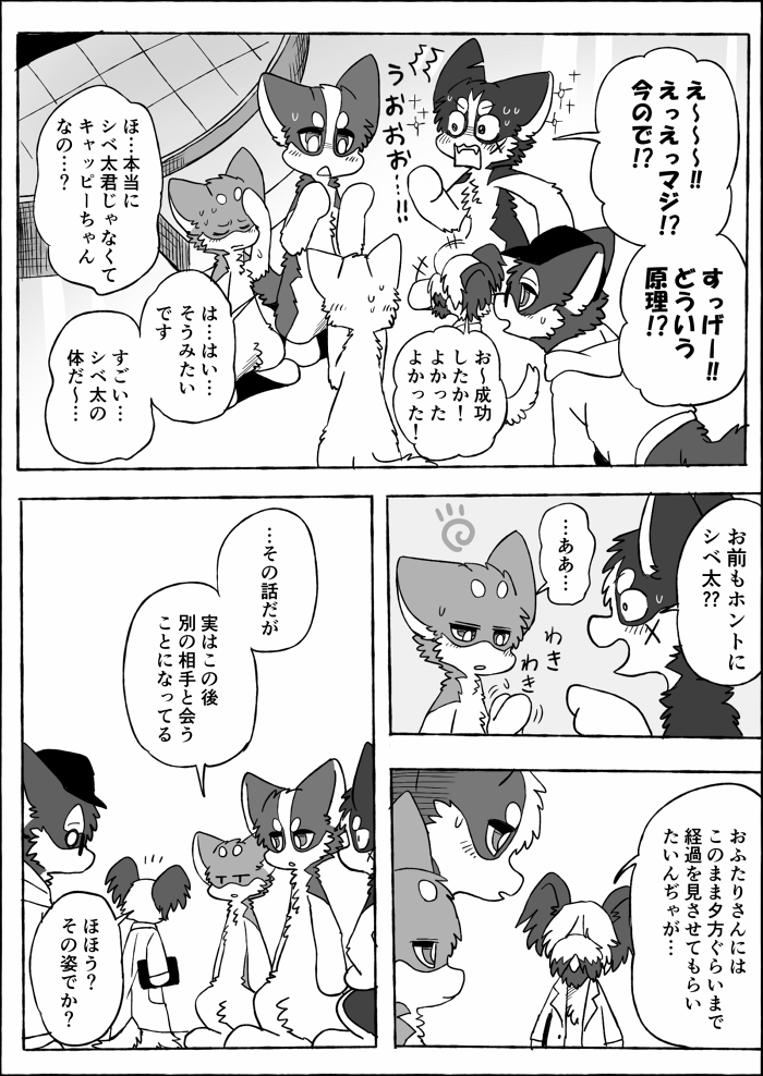 ambiguous_gender black_body black_border black_fur border dialogue eyebrows feral fur grey_body grey_fur group semi-anthro text white_body white_fur white_inner_ear ayaka a-chan flyer_(ayaka) fuuga kyappy mashiro shibeta canid canine canis domestic_dog husky hybrid kishu_inu mammal nordic_sled_dog shiba_inu skye_terrier spitz wolfdog 2023 comic japanese_text monochrome right_to_left translated female_(lore) male_(lore)