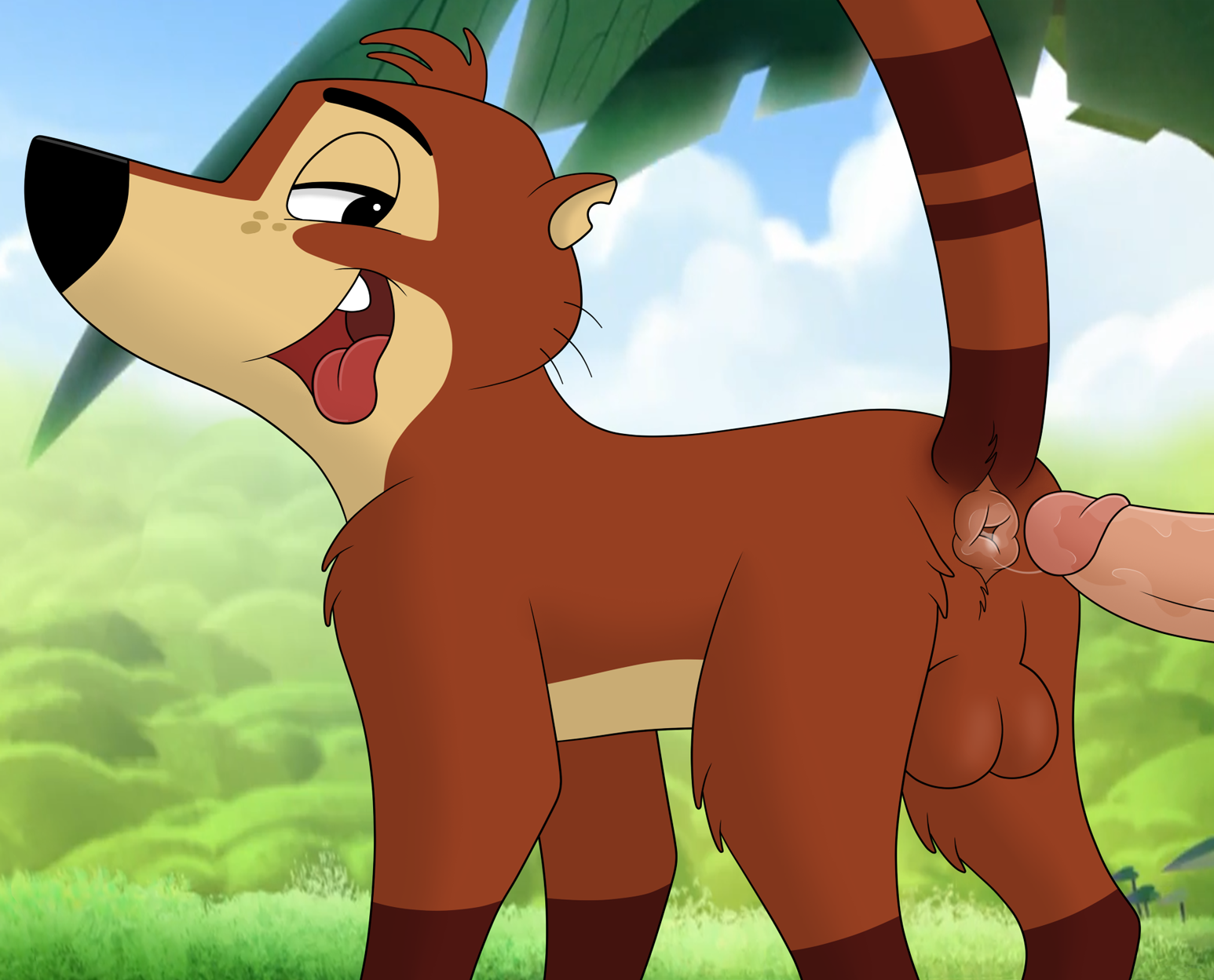 Slideshow zaina koati.