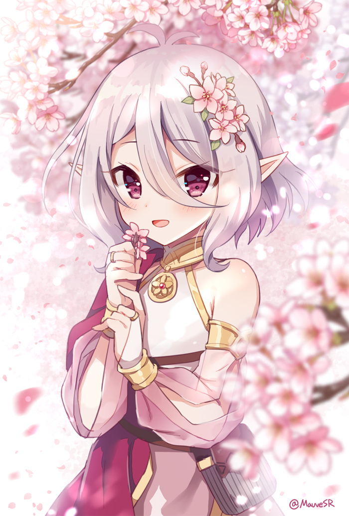 accessory cherry_blossom clothed clothing female flower flower_in_hair grey_hair hair hair_accessory holding_flower holding_object humanoid_pointy_ears not_furry plant pointy_ears prunus_(flower) red_eyes solo mauve_(artist) cygames princess_connect! princess_connect!_re:dive kokkoro_(princess_connect!) elf humanoid 2020