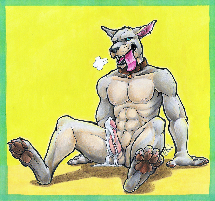 after_orgasm anthro balls blue_eyes bodily_fluids breath collar cum cum_on_balls erection genital_fluids genitals male muscular muscular_anthro muscular_male panting paws penis piercing solo tongue tongue_out airu canid canine canis domestic_dog mammal