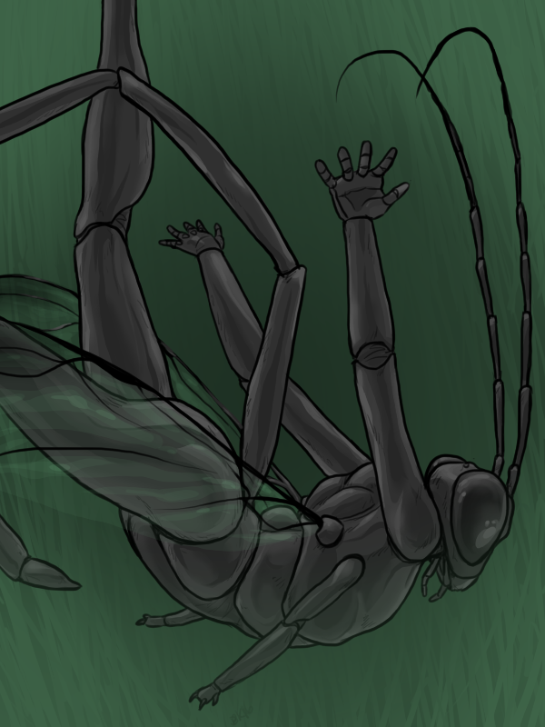 3_fingers 4_arms 5_fingers ambiguous_gender antennae_(anatomy) anthro arms_above_head arthropod_abdomen athletic athletic_ambiguous athletic_anthro black_body black_eyes black_skin compound_eyes exoskeleton falling fingers flat_chested glistening gradient_background green_background grey_body grey_exoskeleton hands_behind_back insect_wings looking_down mandibles multi_arm multi_limb nude raised_leg side_view simple_background solo wings noet abc_insects arthropod hymenopteran insect pelecinid_wasp wasp 2016 3:4 digital_media_(artwork) digital_painting_(artwork) portrait three-quarter_portrait