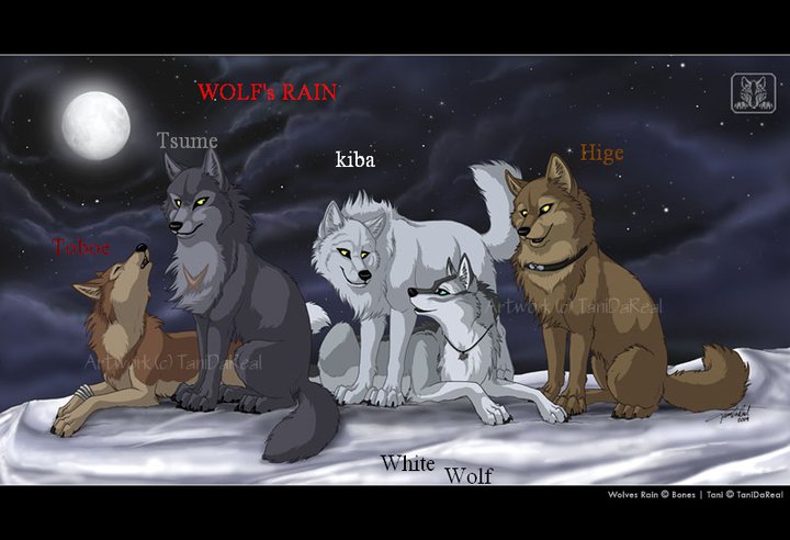 black_bars female feral group moon outside quadruped snow tail text conditional_dnp tani_da_real wolf's_rain hige_(wolf's_rain) kiba_(wolf's_rain) toboe_(wolf's_rain) tsume_(wolf's_rain) canid canine canis mammal wolf english_text letterbox