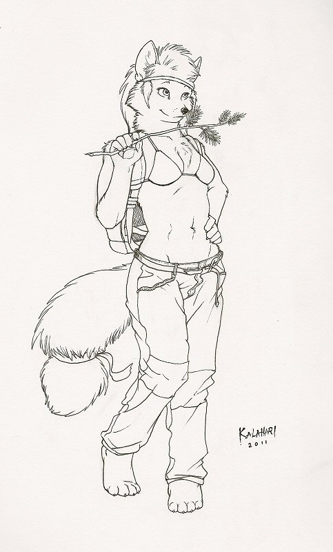 4_toes 5_fingers anthro backpack barefoot bikini bikini_top biped bottomwear breasts chest_tuft claws clothed clothing feet female fingers fluffy fluffy_tail fur hair hand_on_hip holding_object pants simple_background solo stick swimwear tail toes tuft two-piece_swimsuit white_background kalahari jodi canid canine fox mammal 2011 full-length_portrait monochrome pen_(artwork) portrait traditional_media_(artwork)