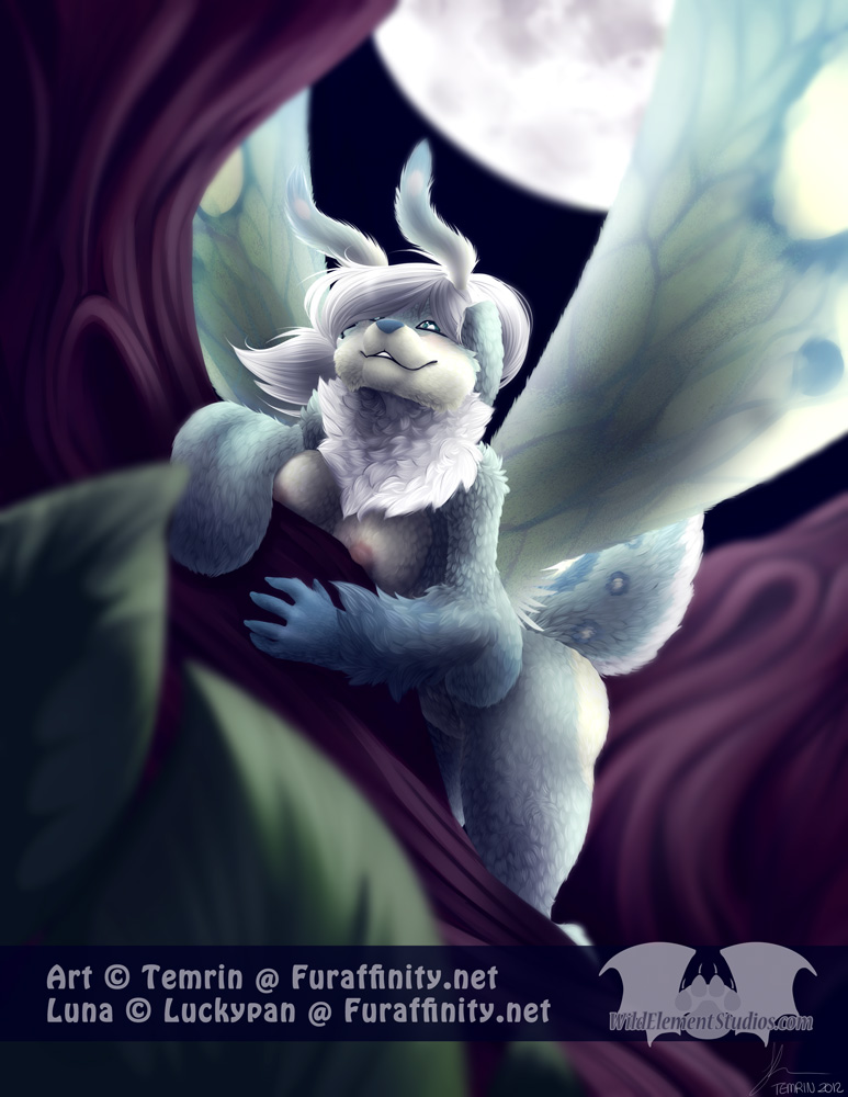 antennae_(anatomy) anthro big_ears blush breasts female floppy_ears fluffy fluffy_tail fur green_eyes hair insect_wings leaf long_hair looking_at_viewer lop_ears moon nature night nipples nude outside plant ponytail solo tail text tree white_hair wings wood temrin luna_(luckypan) arthropod hybrid insect lagomorph lepidopteran luna_moth mammal moth saturniid skvader 2012 url