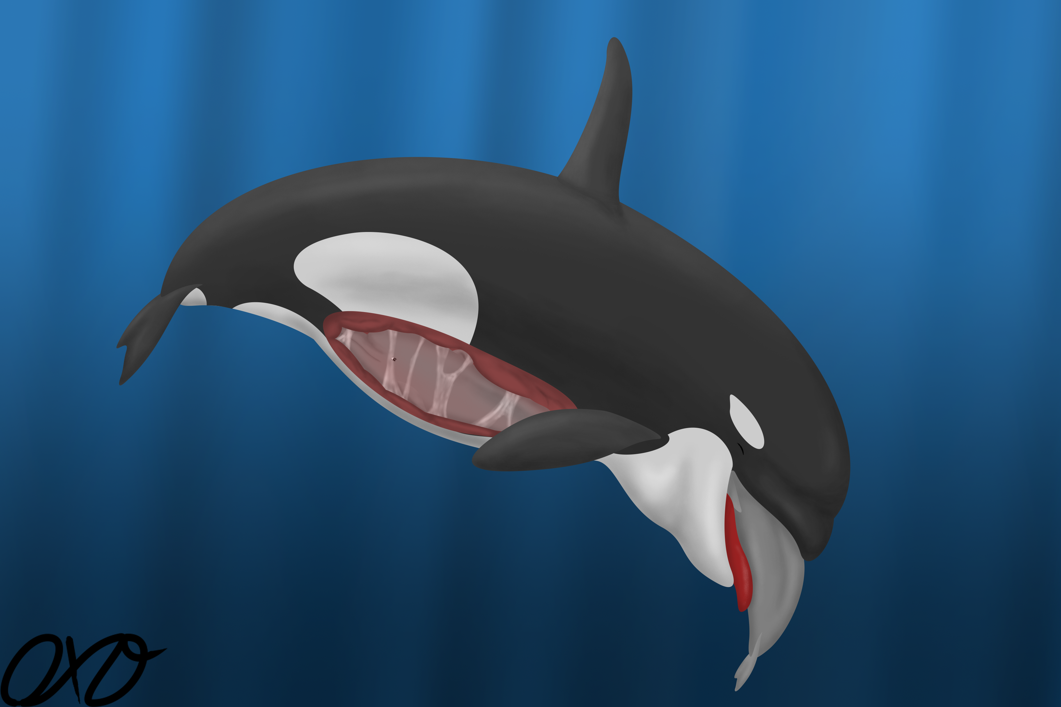 Orca Unbirth