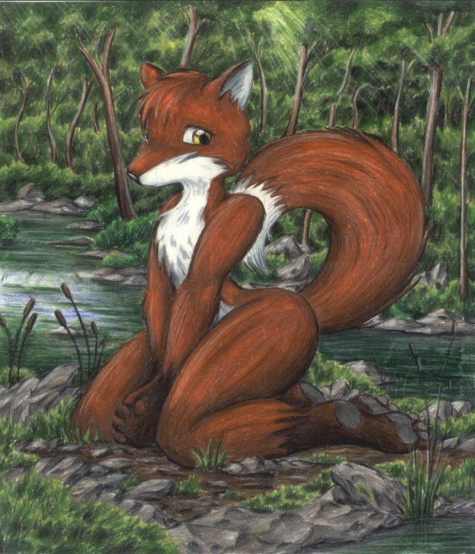 ambiguous_gender anthro cattail_(plant) creek dipstick_tail feet grass markings nude orange_body plant sitting solo tail tail_markings yellow_eyes brian_edwards niffad canid canine fox mammal red_fox true_fox 1998 archived_source traditional_media_(artwork)