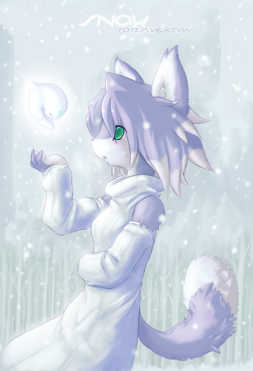 anthro clothed clothing dipstick_tail dress duo eyes_closed facial_markings female flying fully_clothed fur glowing green_eyes grey_body grey_fur grey_hair hair head_markings inner_ear_fluff kemono looking_at_another markings multicolored_hair multicolored_tail nude open_mouth side_view snow snowing tail tail_markings tuft white_body white_fur white_hair totem.v tysontan karma_(tysontan) canid canine canis mammal wolf hi_res