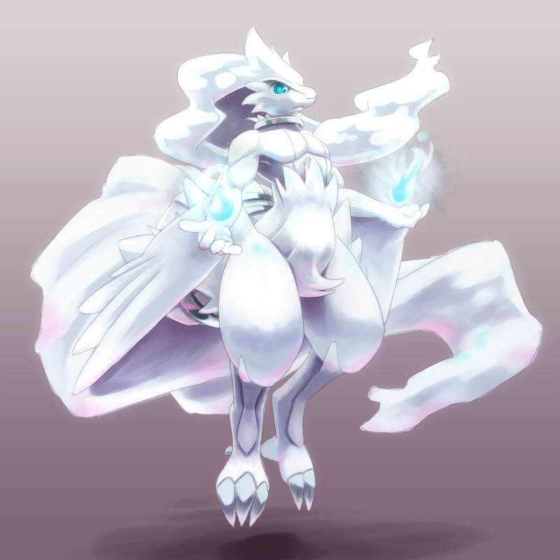 3_toes 4_fingers ambiguous_gender anthro anthrofied biped blue_eyes claws feet fingers fire flying gradient_background nude pokemorph simple_background solo toes biri riot41 nintendo pokemon generation_5_pokemon legendary_pokemon pokemon_(species) reshiram 1:1 2010