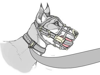 ambiguous_gender ball_gag collar dipstick_ears ear_markings feral gag gagged halter harness_ball_gag harness_gag leash leashed_collar markings multicolored_ears muzzle_(object) muzzled red_ball_gag solo equalicus canid canine canis domestic_dog mammal 4:3 headshot_portrait portrait