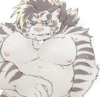 anthro belly blue_eyes bodily_fluids eyewear glasses humanoid_hands kemono male moobs nipples overweight overweight_anthro overweight_male simple_background solo sweat white_background cddi_h lifewonders tokyo_afterschool_summoners licho_(tas) felid mammal pantherine tiger 2020