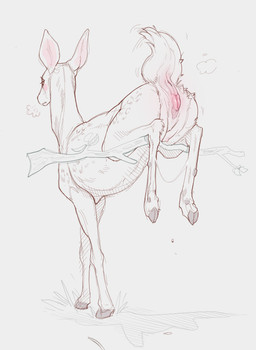 anatomically_correct anatomically_correct_genitalia animal_genitalia animal_vulva anus butt cervine_genitalia cervine_vulva female female_feral feral genitals presenting presenting_anus presenting_hindquarters presenting_vulva raised_tail simple_background solo suspended_by_leg tail tail_anus vulva white_background syn-6 deer mammal absurd_res hi_res sketch
