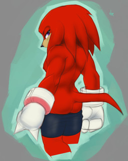 anthro athletic_wear back_muscles blush blush_lines bottomless bottomwear butt clothed clothing fur gloves gym_bottomwear gym_shorts gym_shorts_down handwear looking_back male male_anthro muscular muscular_male nipples partially_clothed pecs purple_eyes rear_view red_body red_fur shorts simple_background solo undressing tkraccoon sega sonic_the_hedgehog_(series) knuckles_the_echidna echidna mammal monotreme colored hi_res