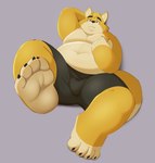 clothed clothing feet foot_fetish foot_focus fur grey_background male moobs obese overweight overweight_male paws reclining shorts_only simple_background soles solo toes topless topless_male yellow_body yellow_fur aciag bear canid canine fox mammal absurd_res hi_res