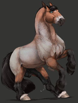 anatomically_correct animal_genitalia animal_penis balls blue_eyes dappled_gray equine_balls equine_genitalia equine_penis erection feral fetlocks genitals looking_at_viewer male markings on_hind_legs penis short_mane solo star_(marking) veiny_belly i-psilone scipio_lucullus_ahenobarbus equid equine mammal hi_res signature