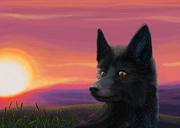 ambiguous_gender black_body black_fur feral fur grass landscape outside plant sky solo sun saphamia canid canine canis domestic_dog mammal 2015 portrait