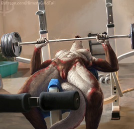 anthro barbell bench_press breasts brown_body brown_fur clitoris clitoris_piercing exercise female fur genital_piercing genitals humanoid_genitalia humanoid_vulva inside lying mouth_closed nipple_piercing nipples nude on_back piercing scar solo vulva weightlifting white_body white_breasts white_fur workout himeragoldtail kangaroo macropod mammal marsupial 2024 hi_res
