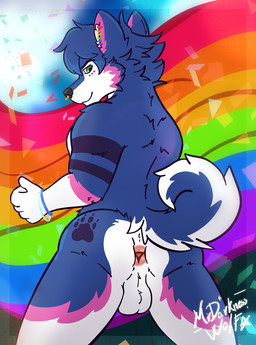 anus butt lgbt_pride male piercing presenting pride_color_flag pride_colors rear_view solo mrdarknesswolf lgbt_pride_month neillen canid canine canis domestic_dog husky mammal nordic_sled_dog spitz hi_res