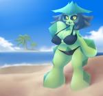 2017 beach big_breasts bikini black_hair black_sclera breasts cacturne camel_toe cleavage clothed clothing detailed_background elemental_creature elfdrago eyelashes female flora_fauna generation_3_pokemon goo-connected_lips hair hi_res huge_breasts humanoid nintendo nipple_outline nora_(elfdrago) not_furry outside plant pokemon pokemon_(species) pokemorph sand seaside sky smile solo swimwear two-piece_swimsuit water yellow_eyes