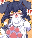 4_fingers accessory anthro bath_towel black_hair blush bodily_fluids breasts claws cleavage clothed clothing cute_fangs embarrassed exclamation_point female female_anthro fingers floppy_ears flower flower_in_hair fluffy fur grey_body hair hair_accessory kemono looking_at_viewer multicolored_body open_mouth pawpads paws pigtails plant question_mark reaching_towards_viewer solo spiral_pupils tears tongue towel towel_only two_tone_body white_body white_fur koto0v0haru cotorita border_collie canid canine canis collie domestic_dog herding_dog mammal pastoral_dog sheepdog 2022 digital_media_(artwork) hi_res