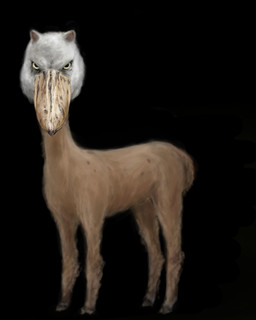 ambiguous_feral ambiguous_gender beak black_background cloven_hooves feral fur glare hooves looking_at_viewer nightmare_fuel quadruped shaved simple_background solo stare what_has_science_done white_body white_fur misope alpaca avian bird camelid hybrid mammal pelecaniform shoebill 2009 4:5