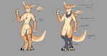 ambiguous_gender analogue_monster anna anthro clothing collectable_monster english_text handkerchief hi_res kerchief legwear model_sheet solo text wolfywetfurr_(artist)