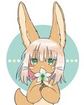 ambiguous_gender anthro blue_background brown_body brown_fur eyebrow_through_hair eyebrows flower fur green_eyes hair holding_flower holding_object looking_at_viewer pink_hair plant simple_background solo translucent translucent_hair white_background white_body white_fur kawasemi27 made_in_abyss nanachi lagomorph leporid mammal narehate rabbit