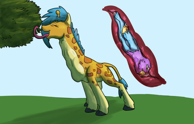 ambiguous_gender ambiguous_pred avian_feet beak blue_body duo esophagus eyes_closed feathered_wings feathers feral feral_pred feral_prey fully_inside green_eyes internal larger_pred long_tongue male male_prey neck_bulge oral_vore paws pink_body quadruped size_difference tongue vore wings doesnotexist gyrotech mythology gyro_feather avian bird galliform giraffe giraffid gryphon mammal mythological_avian mythological_creature peafowl phasianid digital_media_(artwork) hi_res