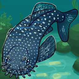 ambiguous_gender barbel_(anatomy) dorsal_fin feral fin markings solo spots spotted_body tail tail_fin translucent_fin underwater water flamingpickle aquatic bristlenose_pleco fish pleco_(fish) 1:1