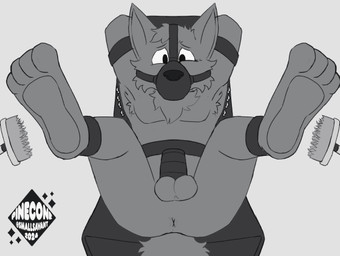 anthro anus balls bdsm bondage bound chastity_cage chastity_device feet gag gagged genitals male muzzle_(object) muzzled nude penis soles solo spread_legs spreading tickle_fetish tickle_torture tickling smallsavant canid canine mammal 2024 2d_animation animated frame_by_frame greyscale monochrome