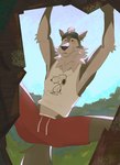 anthro armpit_hair athletic athletic_anthro athletic_male biped black_eyes bodily_fluids body_hair exercise fur grey_body grey_fur looking_up male solo sweat sweatdrop workout yellow_sclera rooksiepooksie epic_games fortnite peanuts_(comic) snoopy wendell_(fortnite) canid canine canis mammal wolf 2024 absurd_res hi_res