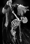 ambiguous_gender anthro armband bittersweet black_background black_claws black_nose bone bottomwear claws cloak clothed clothing corpse creepy dancing death duo eyes_closed facial_markings fur grey_body grey_fur head_markings macabre male markings mask_(marking) melancholic mostly_clothed pants poncho prick_ears shirtless simple_background skeleton smile somber standing white_body white_fur niroku dreamworks puss_in_boots_(dreamworks) death_(puss_in_boots) ambiguous_species canid canine canis mammal wolf hi_res