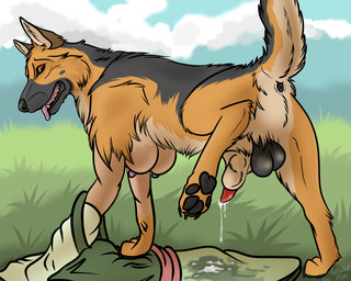 anatomically_correct anatomically_correct_genitalia animal_genitalia balls bodily_fluids breasts canine_genitalia cum female feral feral_transformation gender_transformation genital_fluids genitals half-erect knot_in_sheath leaking_cum male mid_transformation pawpads penis precum raised_tail sheath tail tongue tongue_out transformation renwick-fox_(artist) canid canine canis domestic_dog german_shepherd herding_dog mammal pastoral_dog absurd_res colored digital_media_(artwork) hi_res