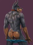 anthro big_butt biped black_body black_fur black_nose brown_body brown_fur butt clothed clothing collar collar_only fur looking_back male male_anthro multicolored_body multicolored_fur nude nude_anthro nude_male partially_clothed presenting presenting_hindquarters rear_view short_tail simple_background solo tail tongue tongue_out two_tone_body two_tone_fur underwear underwear_down undressing bleakcat klaus_doberman_(character) canid canine canis dobermann domestic_dog mammal pinscher
