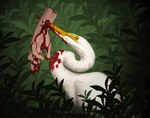 2022 5_fingers ambiguous_gender avian bird blood bodily_fluids day detailed_background digital_media_(artwork) feral fingers gore heron katie_hofgard outside pelecaniform red_eyes severed_body_part severed_hand solo yellow_sclera