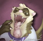 anthro bell bell_collar big_tongue bodily_fluids clothed clothed_anthro clothed_male clothing collar gesture hand_gesture male male_anthro mouth_shot open_mouth pointing saliva solo teeth themuffinly muffin_(themuffinly) domestic_ferret mammal mustelid musteline true_musteline weasel 2021 male_(lore)