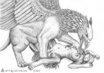 anthro anthro_on_feral beak bestiality breasts claws duo erection feathered_wings feathers female feral forced genitals imminent_rape interspecies larger_male male nipples penis perilous pussy rape size_difference smaller_female tail wings ultrafox mythology avian canid canine canis gryphon mammal mythological_avian mythological_creature wolf 2009 greyscale monochrome