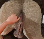 anal anal_fingering animal_genitalia balls duo faceless_character faceless_human faceless_male fingering first_person_view genitals hairy herm human_pov imminent_fingering intersex intersex/male interspecies male male_human pov_hands pussy videolitteo bovid bovine cattle human mammal