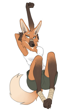 anthro band-aid bandage bandage_on_face bandage_on_nose bottomwear clothed clothing digitigrade female looking_at_viewer markings paws simple_background sitting solo stretching topwear tuft lf telemetra_(lf) canid canine mammal maned_wolf 2026 hi_res